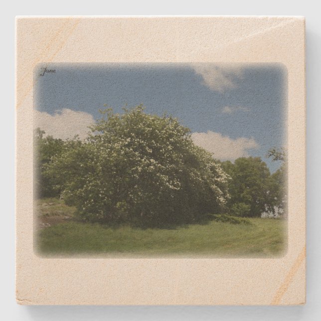 Dessous-de-verre En Pierre Rural Sweden June (Devant)