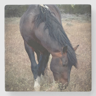 Dessous-de-verre En Pierre S Steens Coaster