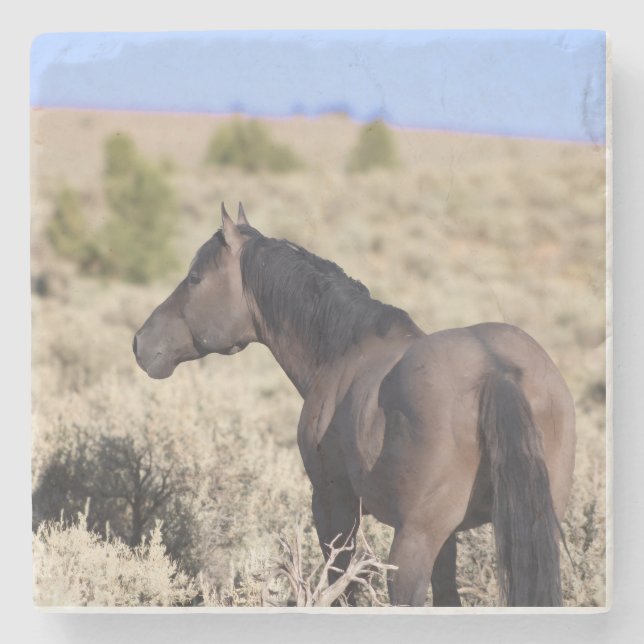 Dessous-de-verre En Pierre S Steens Stone Coaster (Devant)