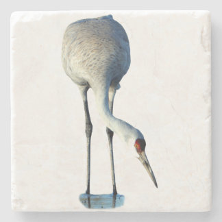 Dessous-de-verre En Pierre Sandhill Crane Photo Stone Coaster
