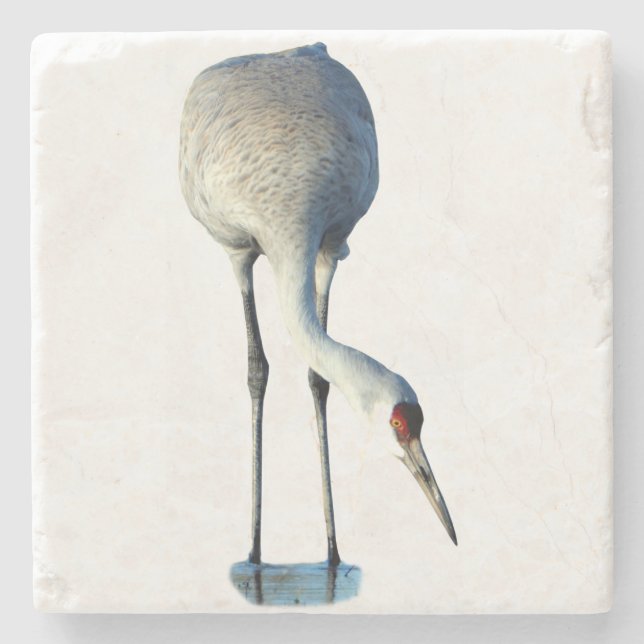 Dessous-de-verre En Pierre Sandhill Crane Photo Stone Coaster (Devant)