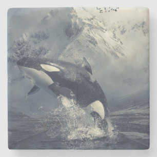 Dessous-de-verre En Pierre Saute-baleine sauvage