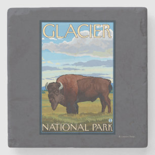 Dessous-de-verre En Pierre Scène de bison - parc national de glacier, la TA