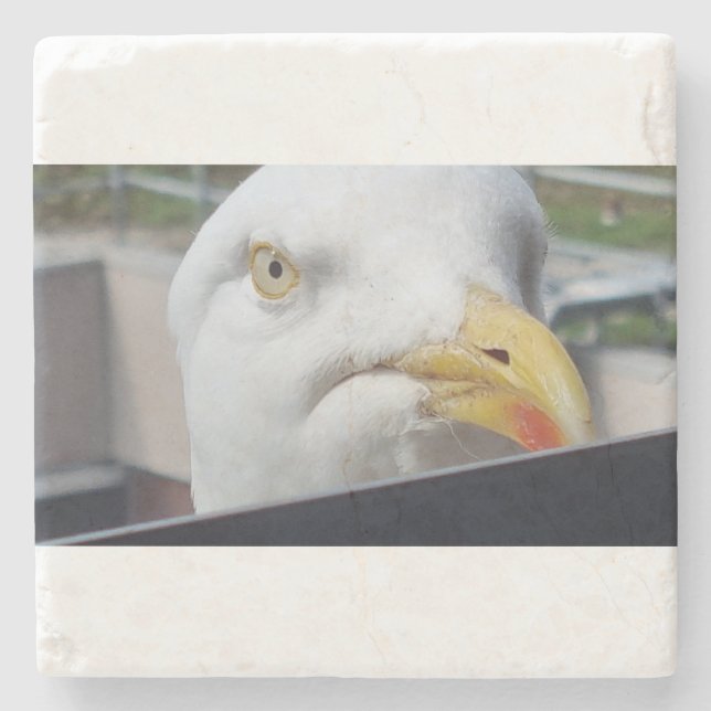 Dessous-de-verre En Pierre Seagull Looking (Devant)