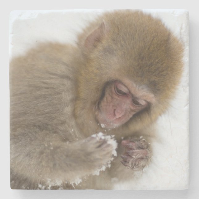Dessous-de-verre En Pierre Singe japonais de neige du Macaque | de bébé (Devant)
