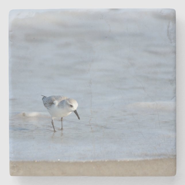 Dessous-de-verre En Pierre Single Sandpiper walking on beach  (Devant)