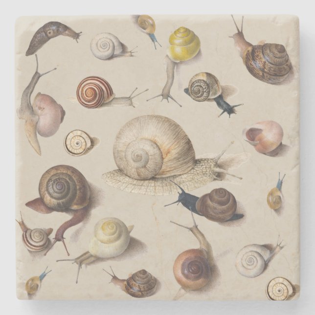 Dessous-de-verre En Pierre Snail Slug Garden Pet Gastropod Botanical Snails (Devant)