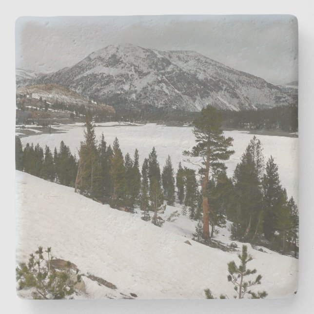 Dessous-de-verre En Pierre Snowy Ellery Lake California Paysage hivernal (Devant)