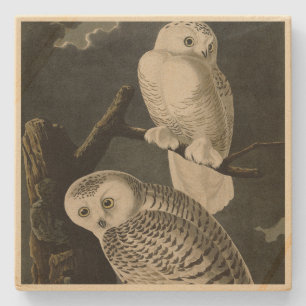 Dessous-de-verre En Pierre Snowy Owl, John James Audubon's Birds of America