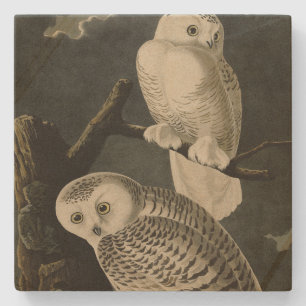 Dessous-de-verre En Pierre Snowy Owl, John James Audubon's Birds of America