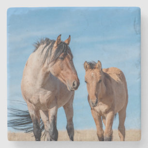 Dessous-de-verre En Pierre Stallion sauvage et poulal sauvage de Mustang