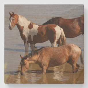 Dessous-de-verre En Pierre Stone Coaster_ mustangs dans l'eau