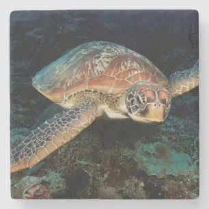 Dessous-de-verre En Pierre Sulawesi   Tortue marine verte