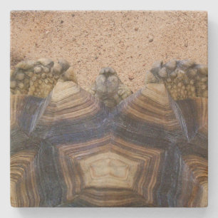 Dessous-de-verre En Pierre Sulcata Tortoise et Aimant de sable