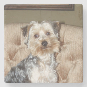 Dessous-de-verre En Pierre Super Sweet Yorkie Posing