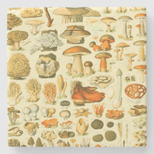 Dessous-de-verre En Pierre Tabouret de toilette Vintage de champignons Illust