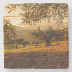 Dessous-de-verre En Pierre Terre d'automne
