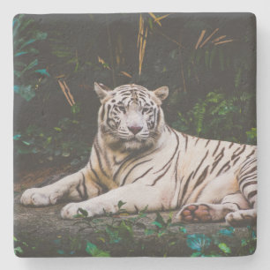 Dessous-de-verre En Pierre Tigre