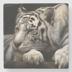 Dessous-de-verre En Pierre Tigre blanc