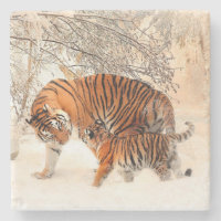Tigres