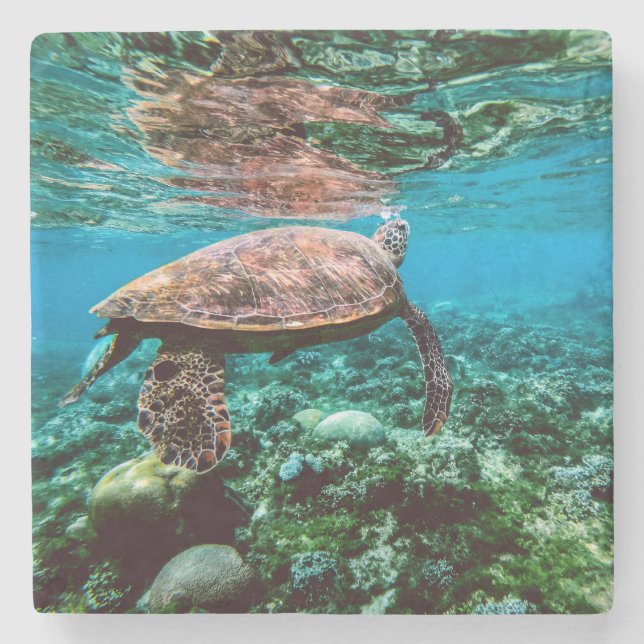 Dessous-de-verre En Pierre Tortue de mer tropicale sous-marine (Devant)
