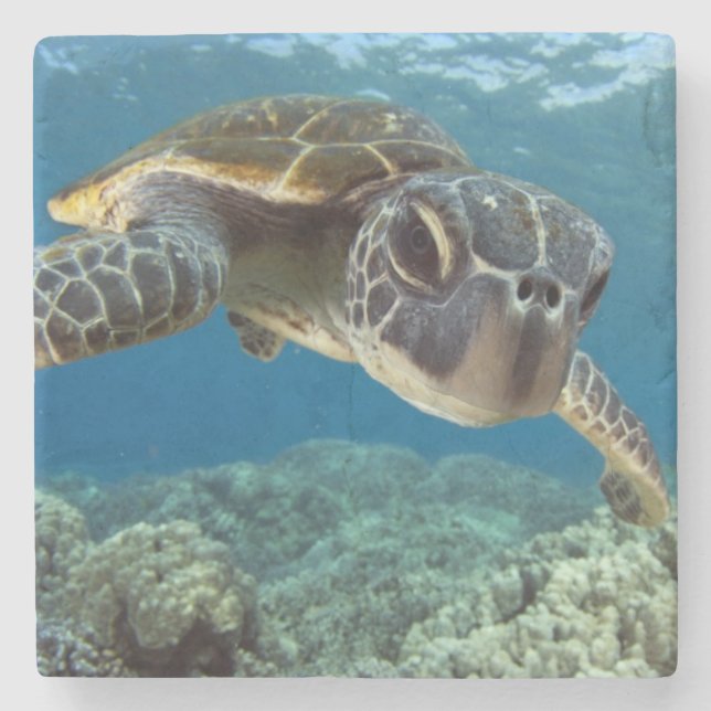 Dessous-de-verre En Pierre Tortue de mer verte hawaïenne (Devant)