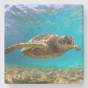 Dessous-de-verre En Pierre Tortue Dessous de verre en pierre