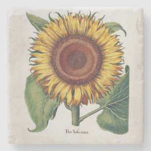 Dessous-de-verre En Pierre Tournesol Vintage Damas Fleur Art