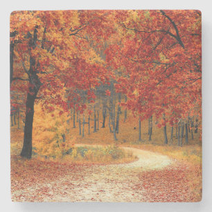Dessous-de-verre En Pierre Traverser les arbres en automne