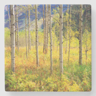Dessous-de-verre En Pierre Trembles en automne dans les Rocheuses
