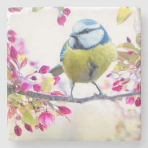 Dessous-de-verre En Pierre Très jolie photo d'oiseau bleu et jaune sur une br
