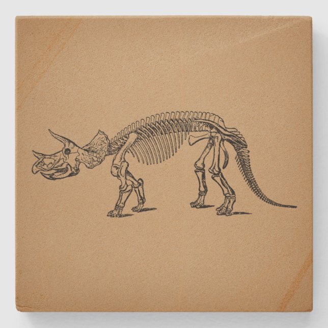 Dessous-de-verre En Pierre Tricératops Dinosaur Skeleton Art préhistorique (Devant)