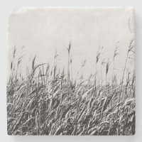 Triptyque dunaire III