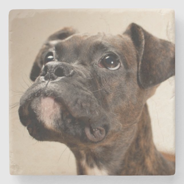 Dessous-de-verre En Pierre Un chiot Brindle de boxeur recherchant (Devant)