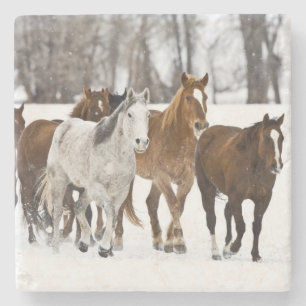 Dessous-de-verre En Pierre Un hiver pittoresque de course