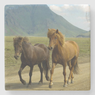 Dessous-de-verre En Pierre Une paire de poneys islandais Brown