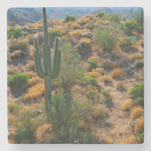 Dessous-de-verre En Pierre USA, Arizona. Vue du désert (Devant)