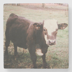 Dessous-de-verre En Pierre Vache à crème Brown