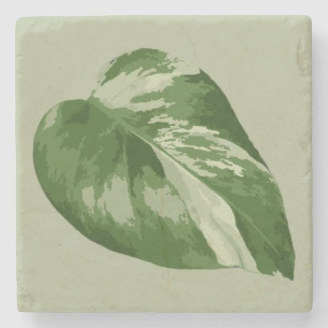 Dessous-de-verre En Pierre Variegated Monstera Leaf – Real Plant Art (Devant)
