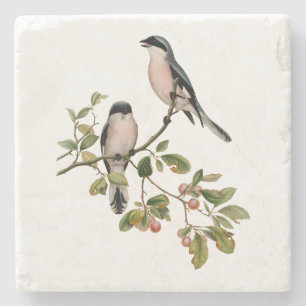 Dessous-de-verre En Pierre Vintage de beaux oiseaux sur une branche