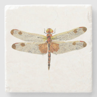 Dessous-de-verre En Pierre vue d'en haut d'une libellule mâle Calico Pennant