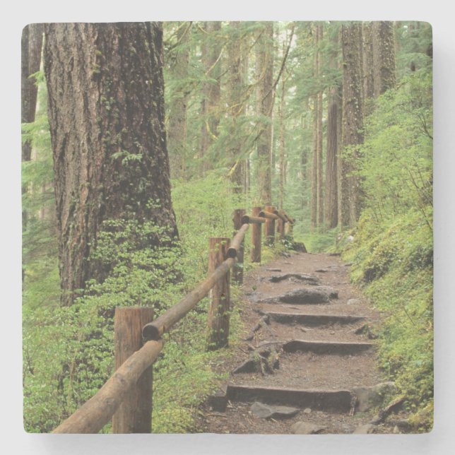 Dessous-de-verre En Pierre WA, parc national Olympique, vallée de Sol Duc, fo (Devant)