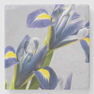 Dessous-de-verre En Pierre Washington, Redmond, Iris violets