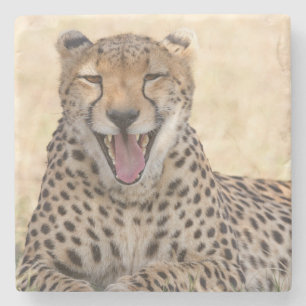 Dessous-de-verre En Pierre Yawning Cheetah