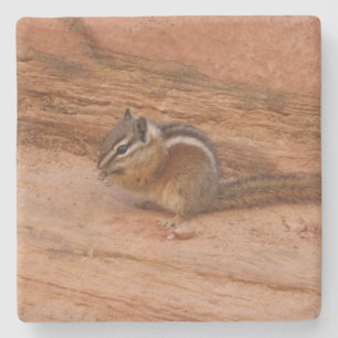 Dessous-de-verre En Pierre Zion Chipmunk sur Red Rocks