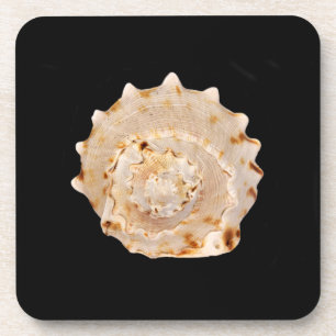 Dessous de verre en plastique dur Conch Shell