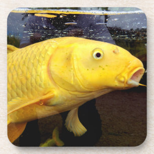 Dessous de verre en plastique dur Koi Carp