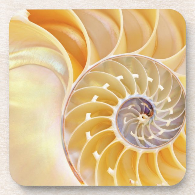 Dessous de verre en plastique dur Nautilus (Devant)