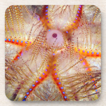 Dessous de verre en plastique durs de garnement du