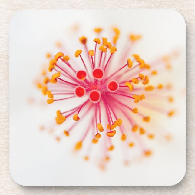 Dessous de verre en plastique durs de ketmie (Devant)